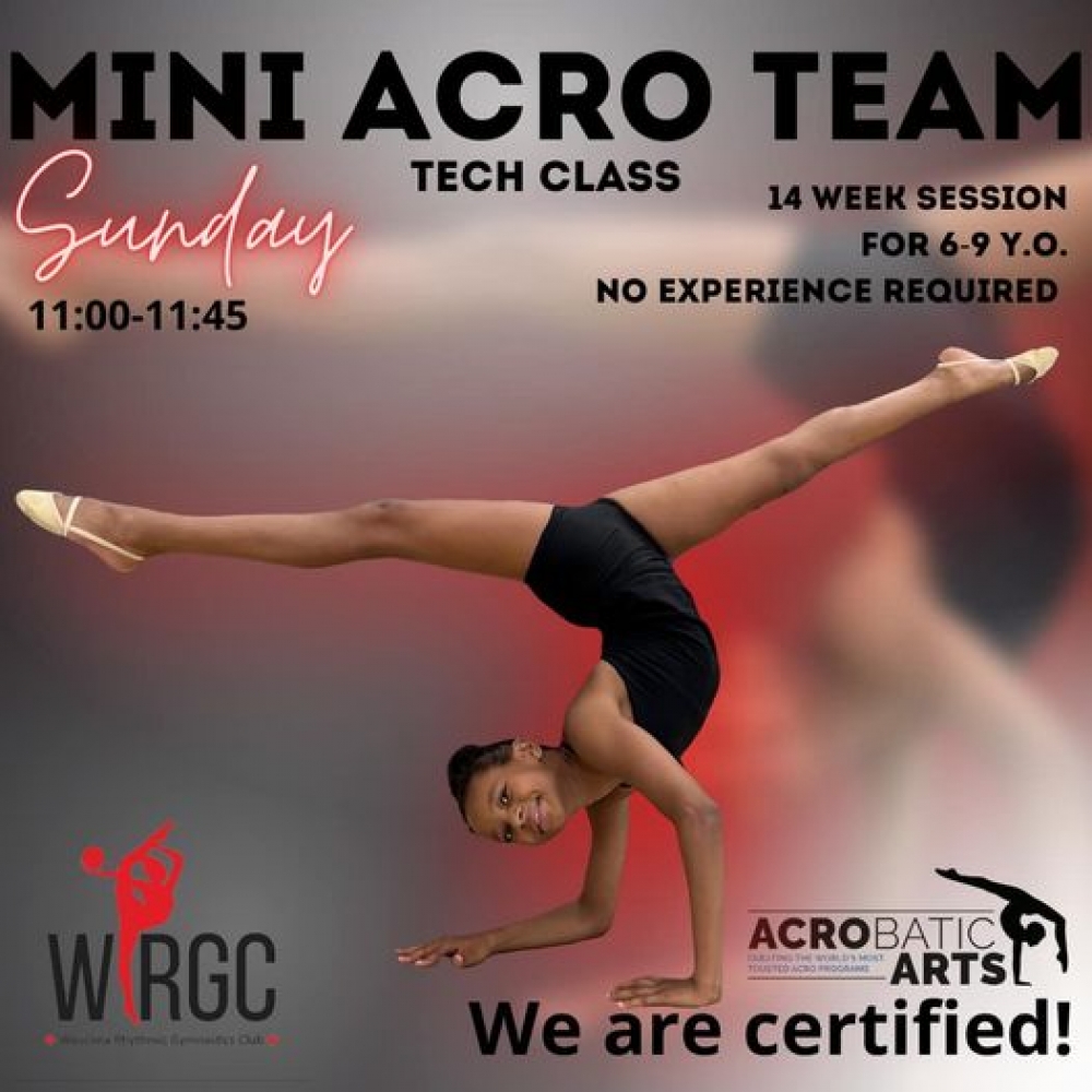 Mini Acro Team